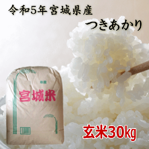 新米 令和5年 コシヒカリ 玄米 30kg 埼玉産 引き取り限定-