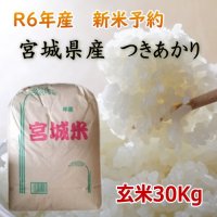 米 お米 宮城県 宮城県産 令和5年産 白米 玄米 精米