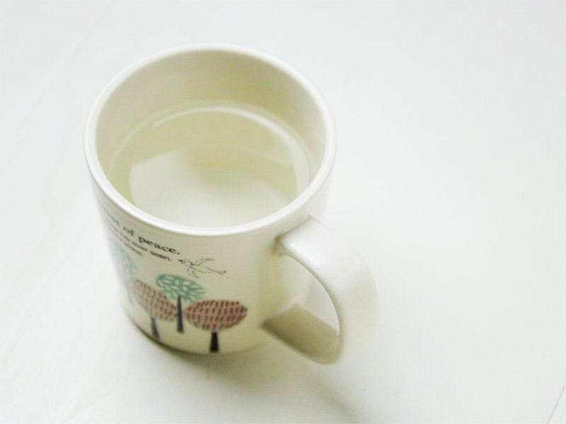 shinzikatoh シンジカトウデザイン　森林浴が楽しめそうなイラストマグカップ　美濃焼