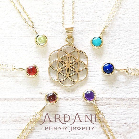 ARDANI energy jewelry】Seed of Lifeシードオブライフ 18金ペンダント