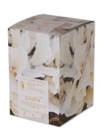 GRON植物性プロテインブレンドBOX/ゴールデンウォーリアー（えんどう豆プロテイン）/20g x 12包