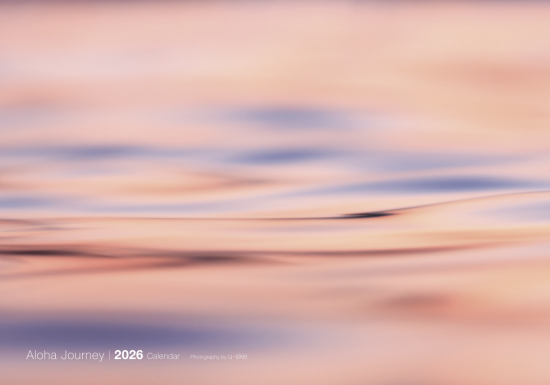 <img class='new_mark_img1' src='https://img.shop-pro.jp/img/new/icons13.gif' style='border:none;display:inline;margin:0px;padding:0px;width:auto;' />ڤޤȤ㤤ۥեȥե U-SKE ɳݤ2026ǯ Aloha Journey