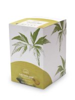 GRON植物性プロテインファンクショナルスープ 12包 Box (ホーリーモーリーグリーン) / 16g x 12pcs