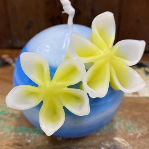 プルメリアキャンドル [stripe blue]【Irie tiare candle