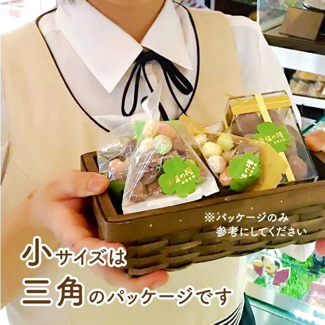 マカダミアナッツ取り木】 ☀限定特別販売ご案内 バーモント、バー