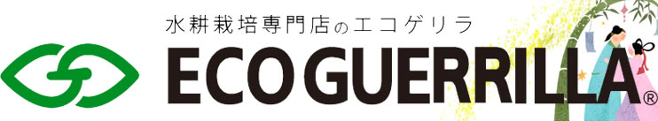 水耕栽培専門店のエコゲリラ
