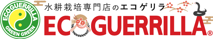 水耕栽培専門店のエコゲリラ