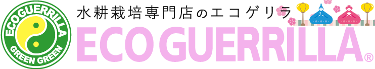水耕栽培専門店のエコゲリラ