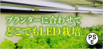 LED水耕栽培GG新型おやさいライト