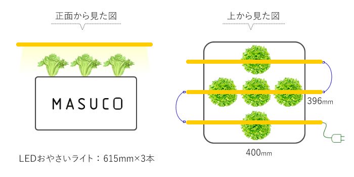 MASUCOでLED栽培