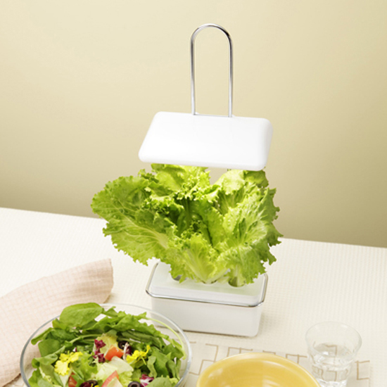 LED 水耕栽培 Akarina15 アカリーナ 野菜栽培器 - 水耕栽培専門