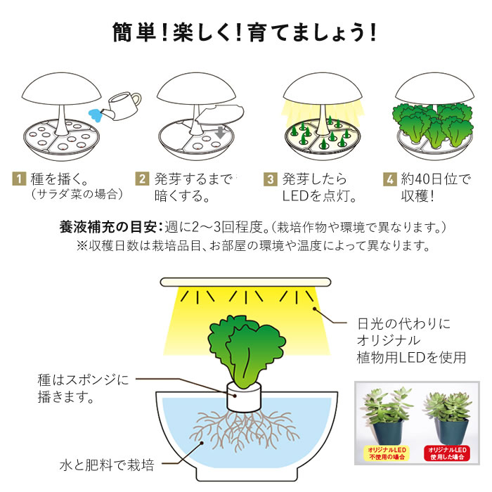 LED 水耕栽培 Akarina01 アカリーナ OMA01RN2 - 水耕栽培専門店エコゲリラ