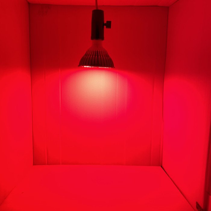 植物育成 LED ランプ（赤）660nm 水耕栽培専門店エコゲリラ