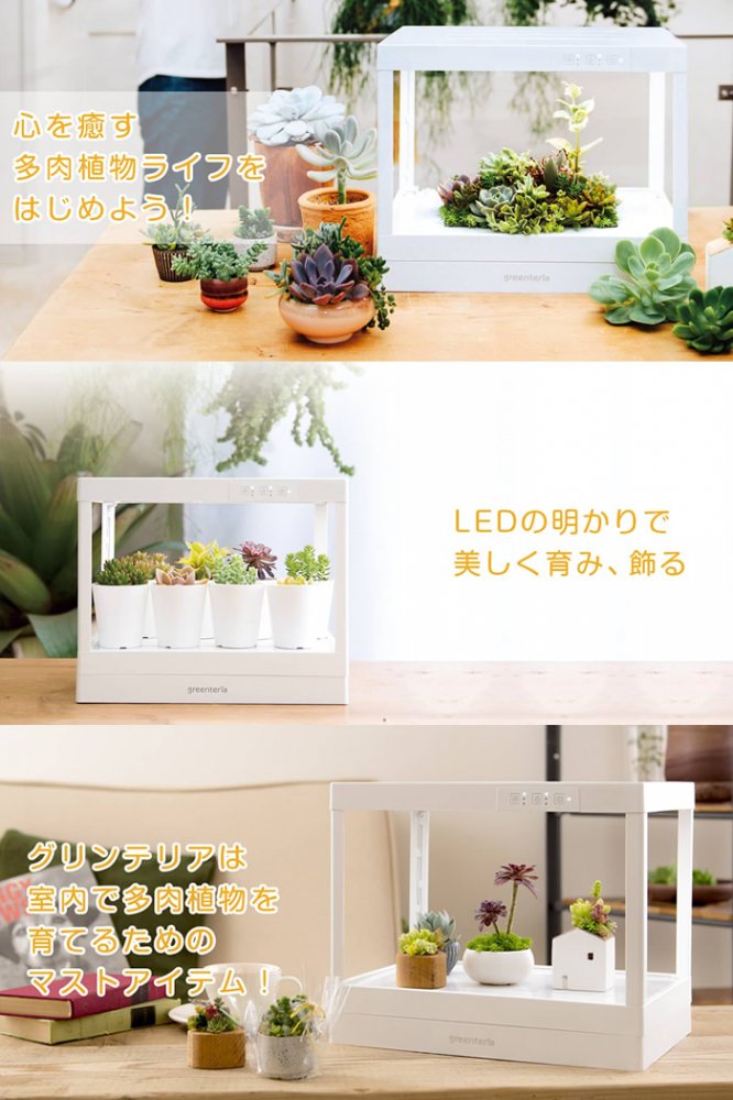 LED プランター 多肉植物用 グリンテリア - 水耕栽培専門店エコゲリラ