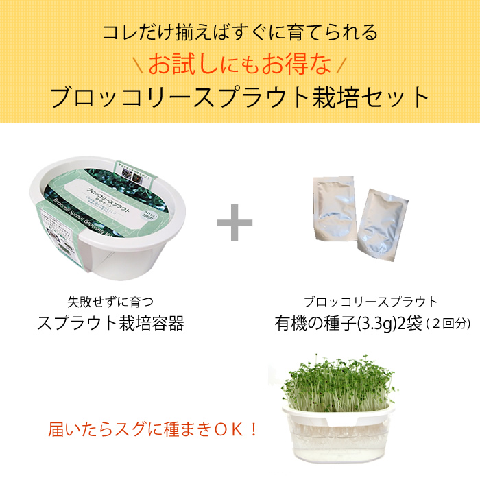 ブロッコリースプラウト栽培キット かいわれタイプ 水耕栽培専門店エコゲリラ ブロッコリースプラウト栽培キット かいわれタイプ 水耕栽培専門店エコゲリラ