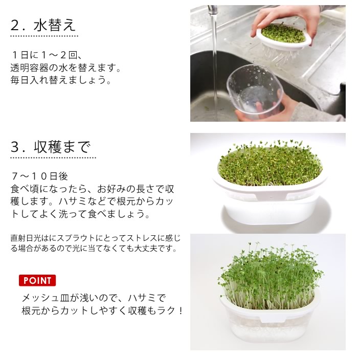 ブロッコリースプラウト栽培キット かいわれタイプ 水耕栽培専門店エコゲリラ ブロッコリースプラウト栽培キット かいわれタイプ 水耕栽培専門店エコゲリラ