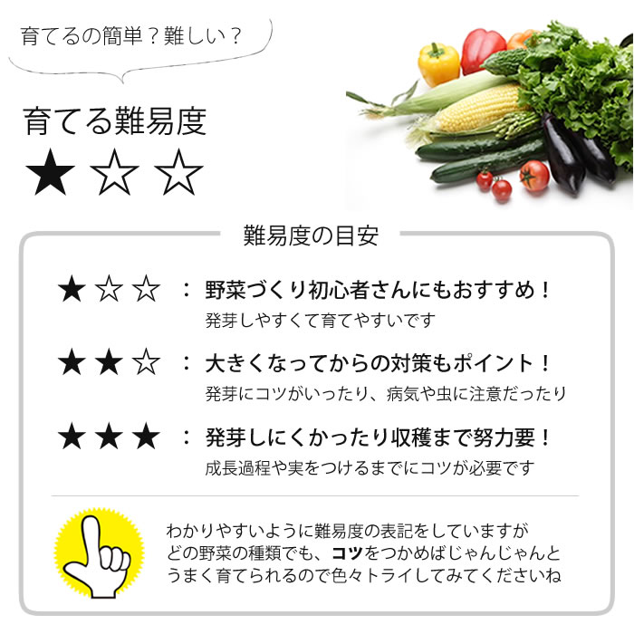 有機種子 ロケット ルッコラ スプラウト 水耕栽培専門店エコゲリラ 有機種子 ロケット ルッコラ スプラウト 水耕栽培専門店エコゲリラ