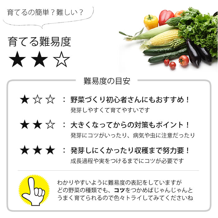 有機種子 オクラ おくら 水耕栽培専門店エコゲリラ 有機種子 オクラ おくら 水耕栽培専門店エコゲリラ