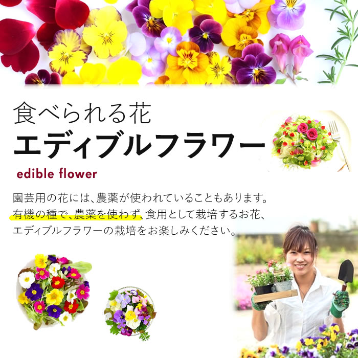 有機種子 ラベンダー ディブルフラワー 水耕栽培専門店エコゲリラ 有機種子 ラベンダー ディブルフラワー 水耕栽培専門店エコゲリラ