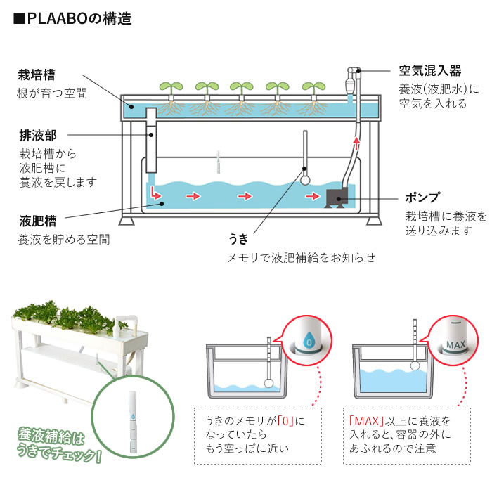 水耕栽培キット ホームハイポニカ PLAABO プラーボ