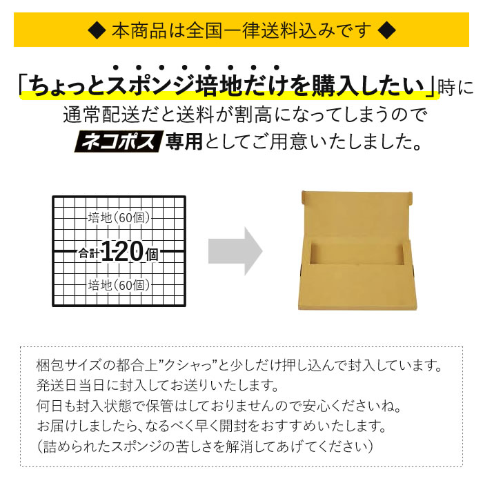 ネコポス専用 くぼみあり 葉菜用 スポンジ 培地 - 水耕栽培専門店