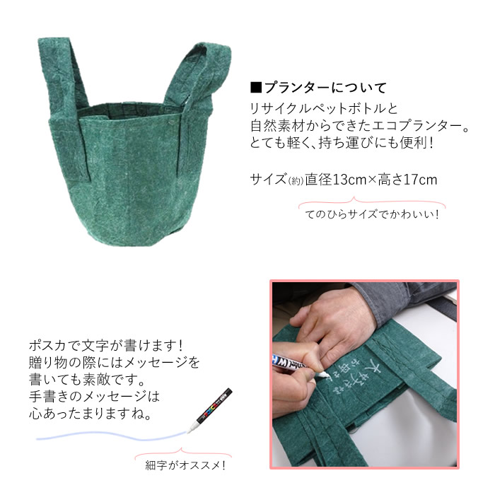 母の日ギフト オーガニック栽培キット 水耕栽培専門店エコゲリラ 母の日ギフト オーガニック栽培キット 水耕栽培専門店エコゲリラ