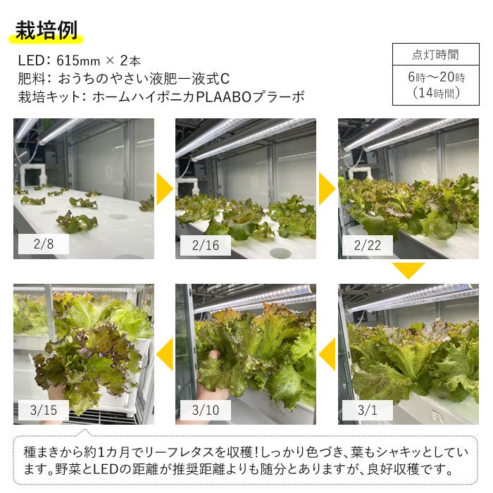 野菜栽培用 LED GG 新型おやさい ライト 615mm 【1-4本専用】 - 水耕