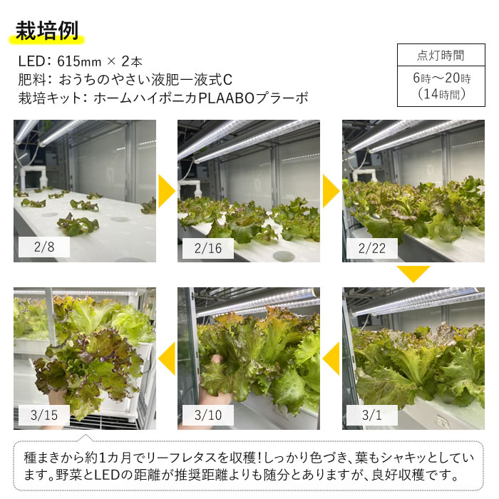 植物育成ライト LED GG 新型おやさい ライト 900mm 【1-4本専用 植物育成ライト LED GG 新型おやさい ライト 900mm 【1-4本専用
