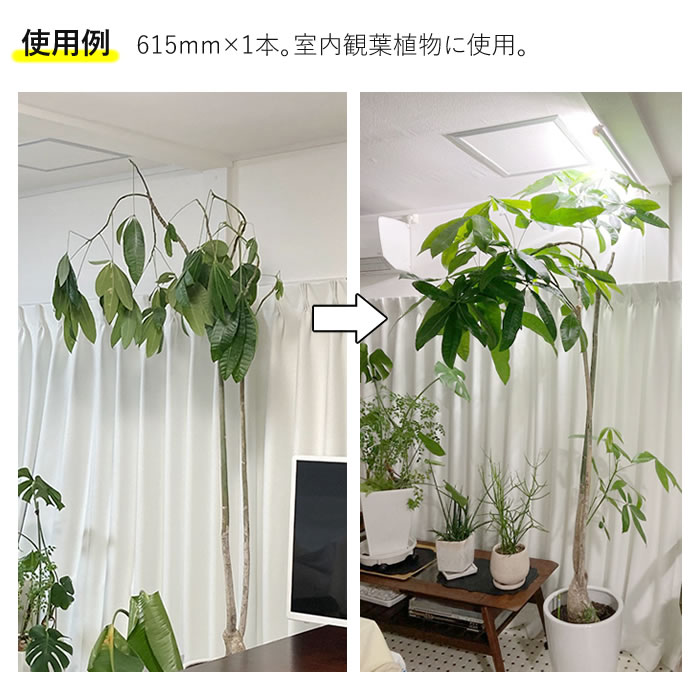 植物育成ライト LED GG 新型おやさい ライト 900mm 【5本以上専用】 - 水耕栽培専門店エコゲリラ