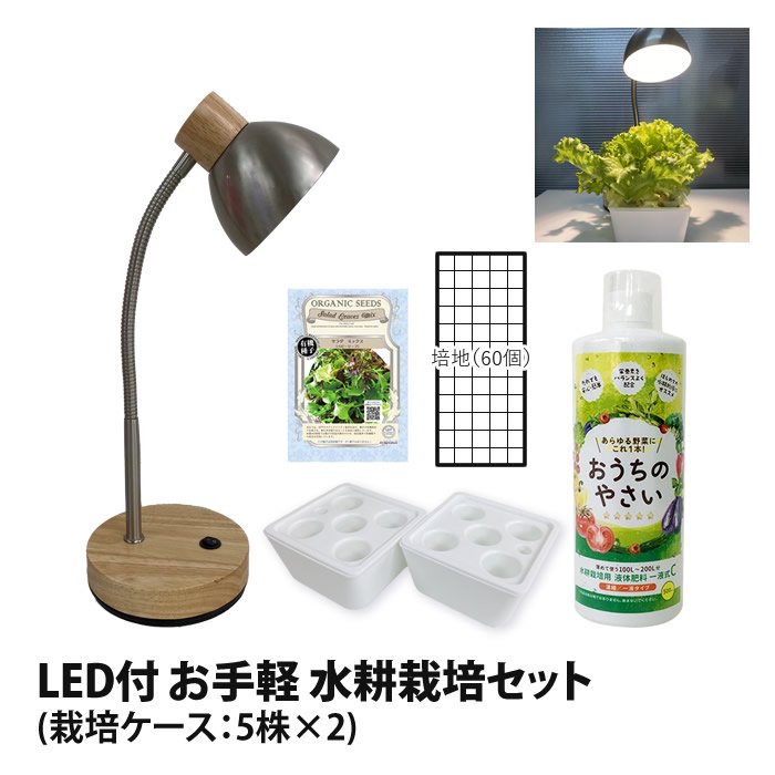 LED お手軽 プチ 水耕栽培セット 白木ナチュラル 5株分×2 