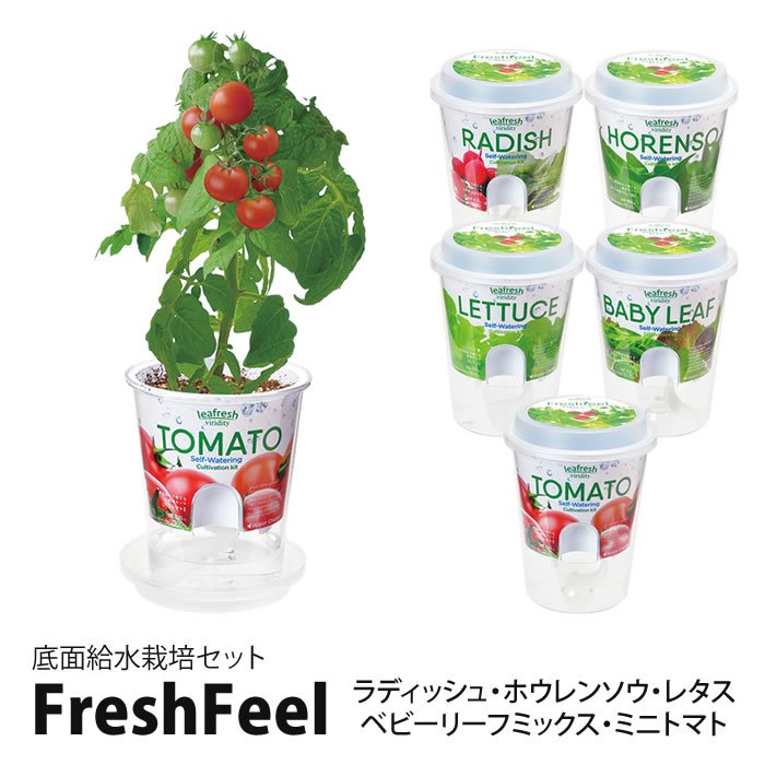 ̵ݥå Fresh Feel եåե
