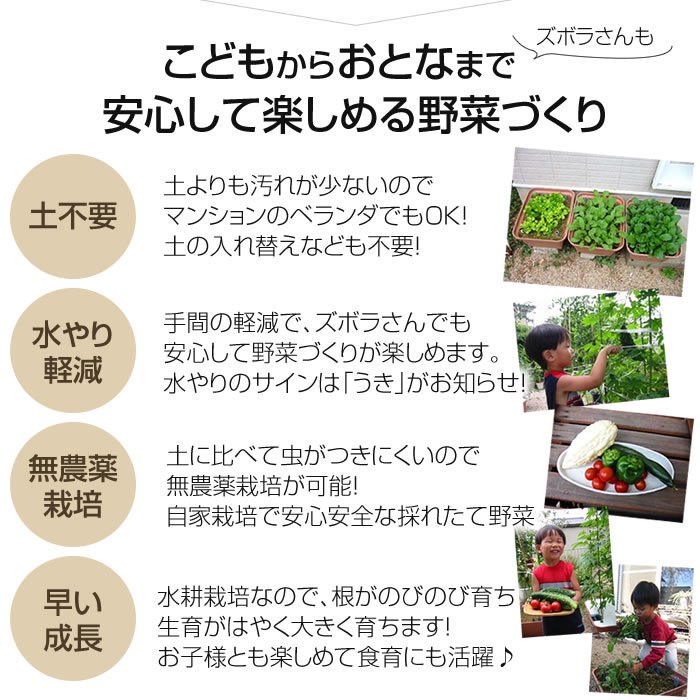 水耕栽培キット 家庭菜園 プランター栽培セット おうちのやさい