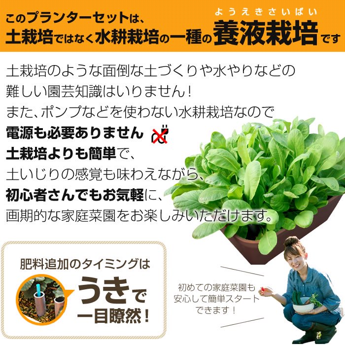 水耕栽培キット 家庭菜園 プランター栽培セット おうちのやさい