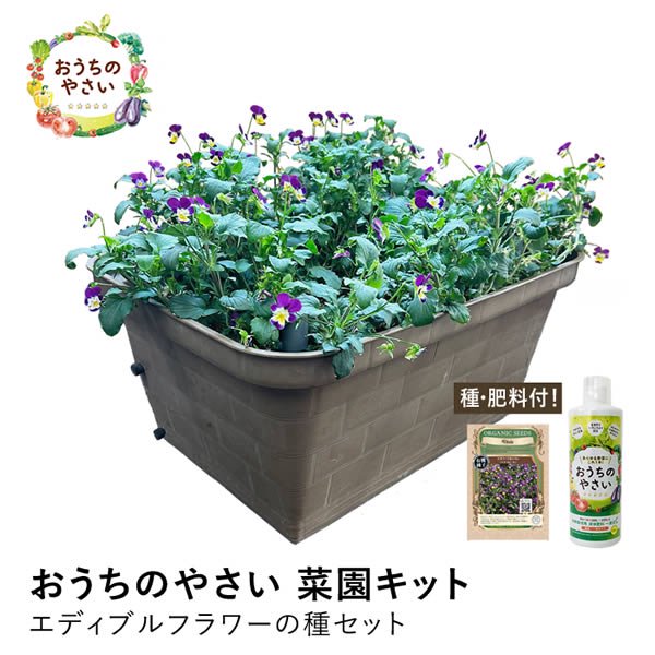 水耕栽培キット 水耕栽培セット 栽培キット ホームハイポニカ