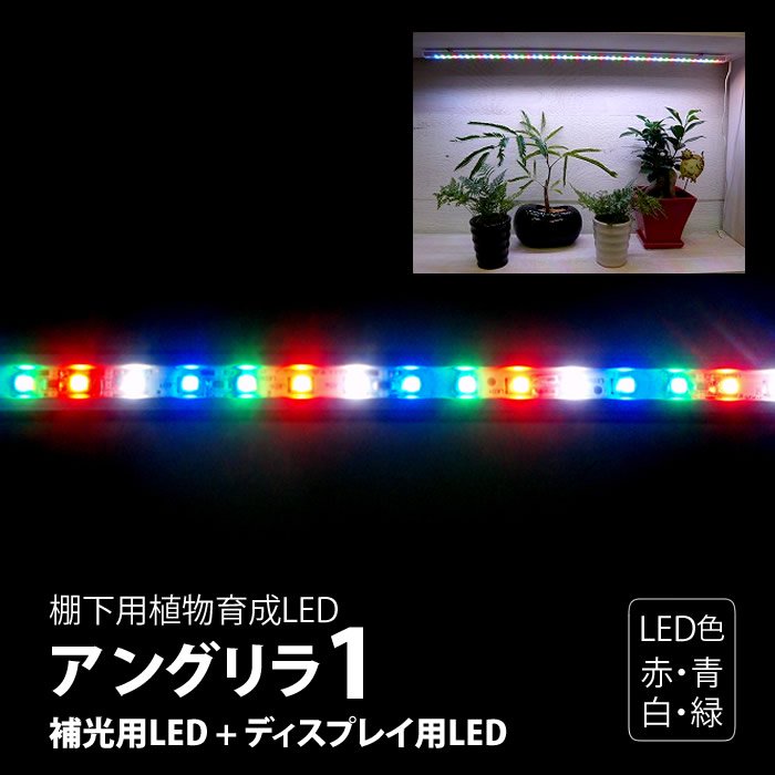 棚下用植物育成LED アングリラ1