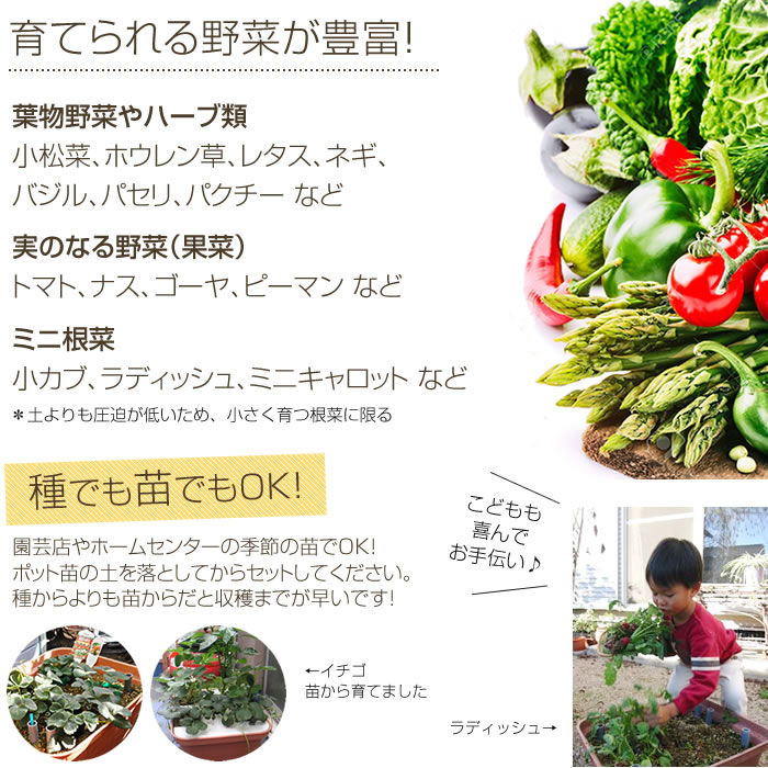 家庭菜園プランター栽培セット 水耕栽培 養液栽培 水耕栽培専門店エコゲリラ 家庭菜園プランター栽培セット 水耕栽培 養液栽培 水耕栽培専門店エコゲリラ