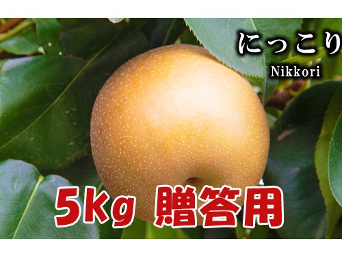 11月上旬発送】にっこり5Lサイズ以上（5玉～8玉）5kg箱詰 - 梨・りんごの生産直売「まるなか農園」