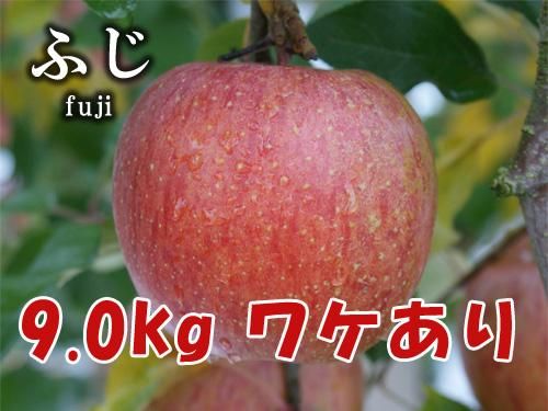 ワケあり】無袋りんごふじサイズおまかせ（26玉～36玉）9.0kg箱詰 - 梨 