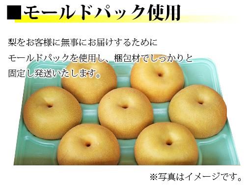 9月下旬発送】豊水梨3L～4LAサイズ（11玉～14玉）5kg箱詰 - 梨