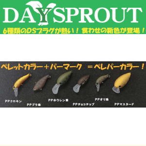 DAYSPROUT ディスプラウト