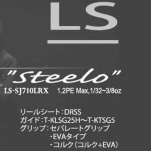 DESIGNO（デジーノ） レーベン スラング  Steelo　LS-SJ710LRX EVA