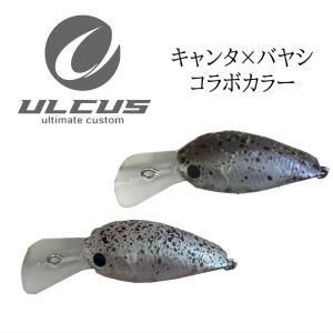 ULCUS アルカス
