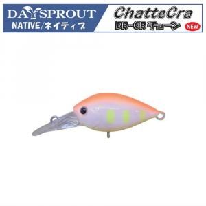 ディスプラウト DAYSPROUT - チャタクラ