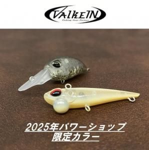 <img class='new_mark_img1' src='https://img.shop-pro.jp/img/new/icons1.gif' style='border:none;display:inline;margin:0px;padding:0px;width:auto;' />륱 2025ѥå׸ꥫ顼ץ饰