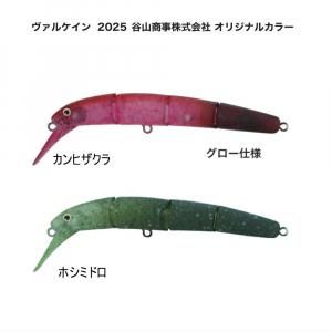 <img class='new_mark_img1' src='https://img.shop-pro.jp/img/new/icons1.gif' style='border:none;display:inline;margin:0px;padding:0px;width:auto;' />륱 2025 TS顼ۥϥɥ