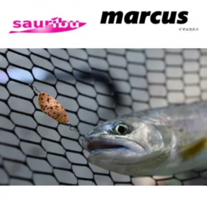 <img class='new_mark_img1' src='https://img.shop-pro.jp/img/new/icons4.gif' style='border:none;display:inline;margin:0px;padding:0px;width:auto;' /> ޥ륫1.1g