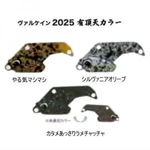 <img class='new_mark_img1' src='https://img.shop-pro.jp/img/new/icons1.gif' style='border:none;display:inline;margin:0px;padding:0px;width:auto;' />륱 륭Υ1.8g2025ͭĺŷ顼