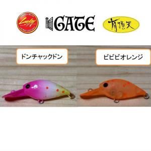 <img class='new_mark_img1' src='https://img.shop-pro.jp/img/new/icons1.gif' style='border:none;display:inline;margin:0px;padding:0px;width:auto;' />GATE ǥץԡGS2 ͭĺŷ顼