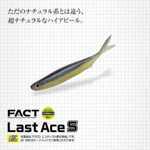 バスフィッシング一式 フィッシングツール ゼクサス ZX-190 最大560ルーメン 単4乾電池