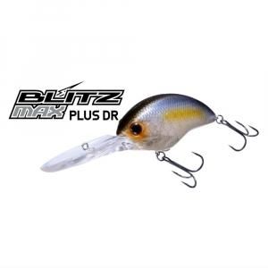 BASS バス